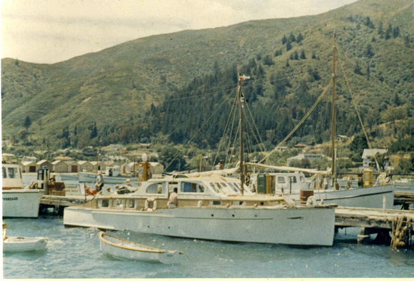 Marinus at Picton around 1957