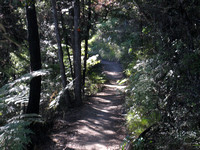 Tasman Track