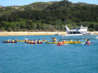 There are 700 double Kayaks in Tasman Park