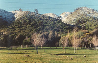1991 - 2002  Waikanae New Zealand
