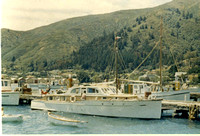 Marinus at Picton around 1957